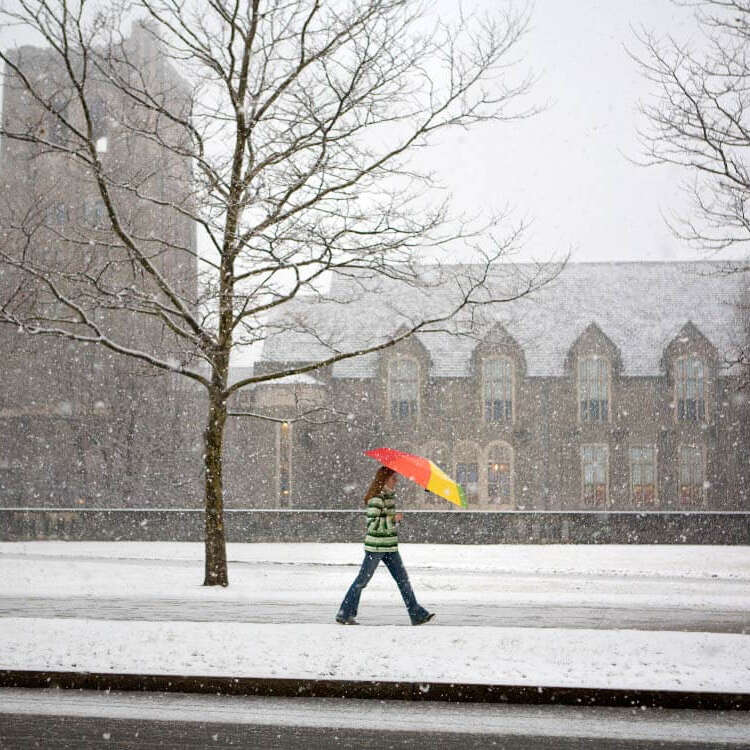 Winter at Cornell Law School